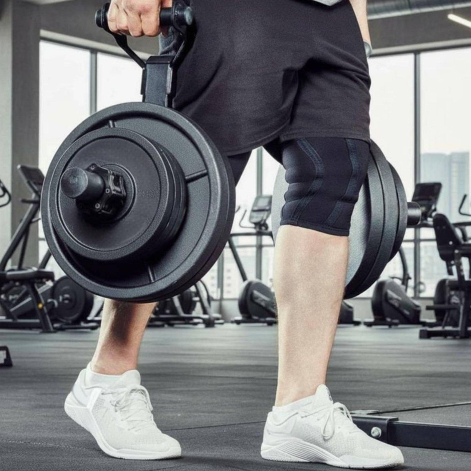 Multi-size Barbell Plate Holde - Fitness Home Gym Equipment 评论和价格