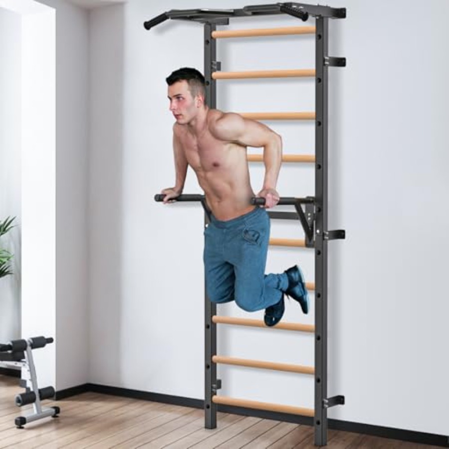 Wall Mounted Gymnastic Stall B - Home Gym Wall Mounted 评论和价格
