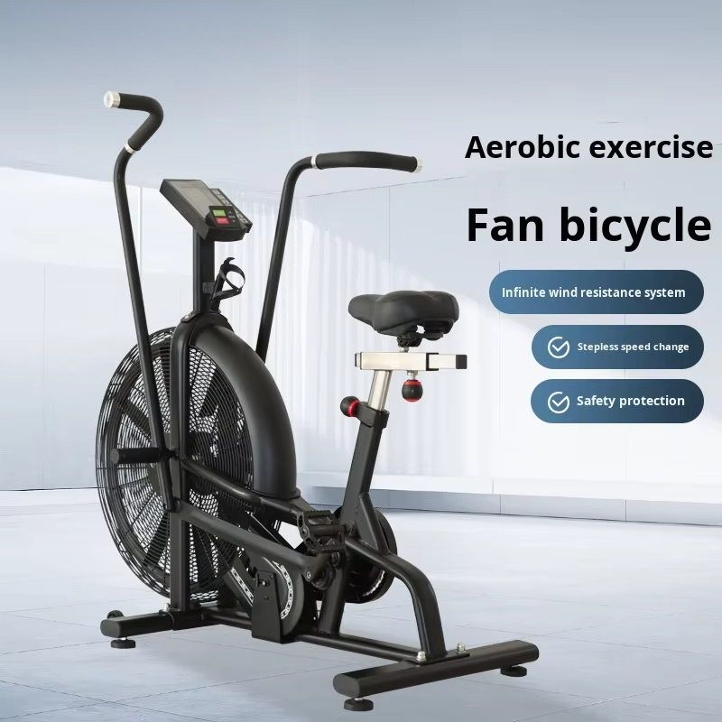 Commercial Wind Resistance Aer - Home Gym Bike 评论和价格