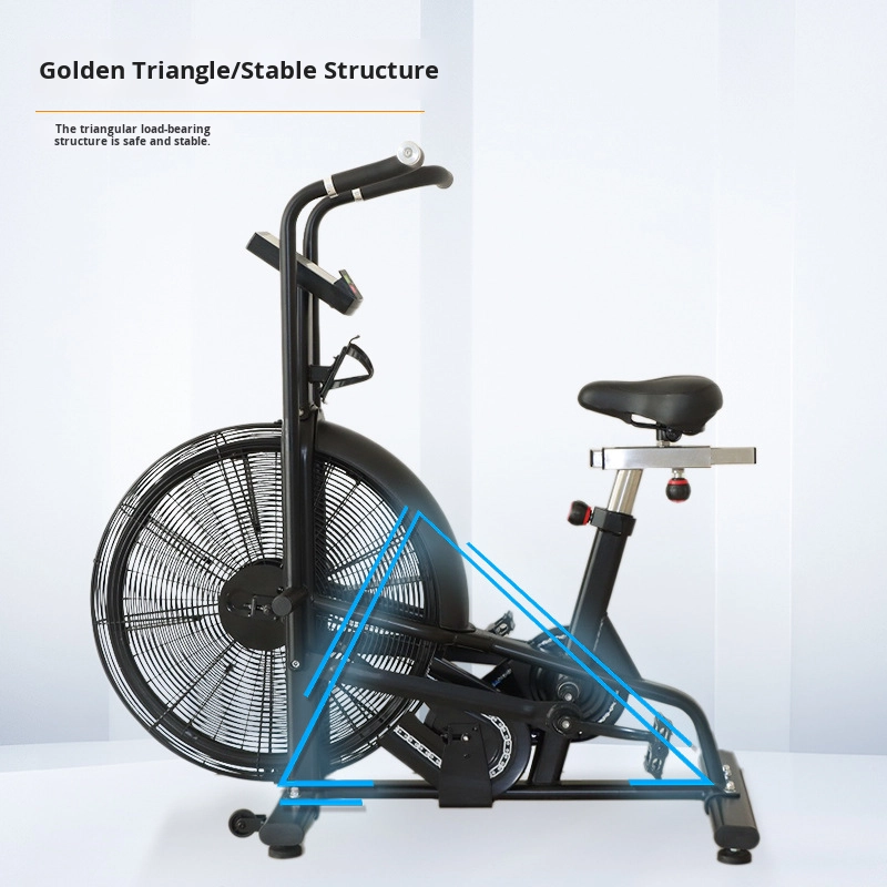 Commercial Wind Resistance Aer - Home Gym Bike 评论和价格