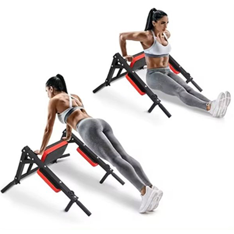 Heavy Duty Wall Mounted Parall - Home Gym Wall Mounted 评论和价格