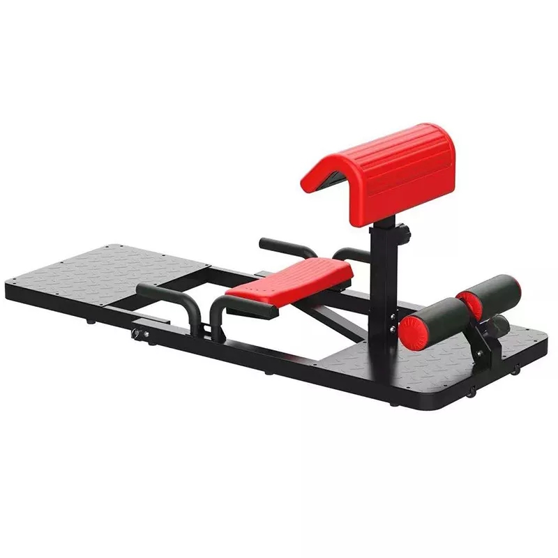 Sissy Squat Machine 3-in-1 Hom - Home Gym Quad 评论和价格